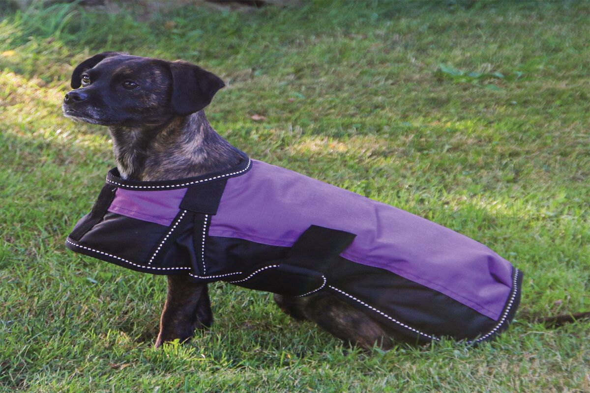 Complete Study On The Waterproof Dog Coats